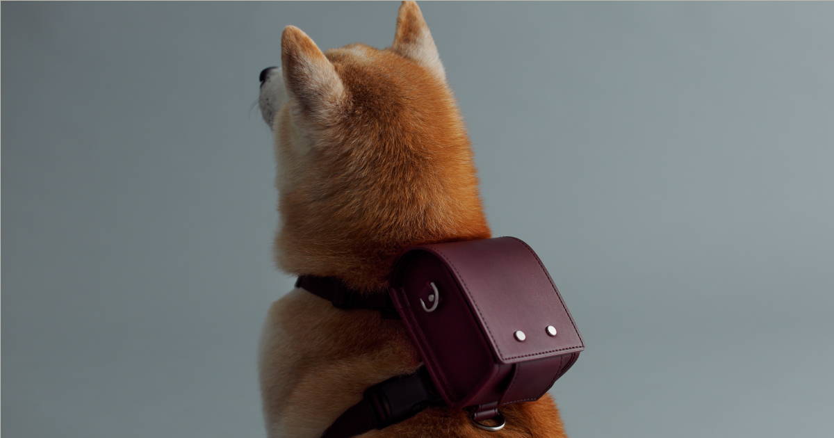 犬用のランドセルなど、愛犬との時間を楽しむペットアイテムに限定色が登場。