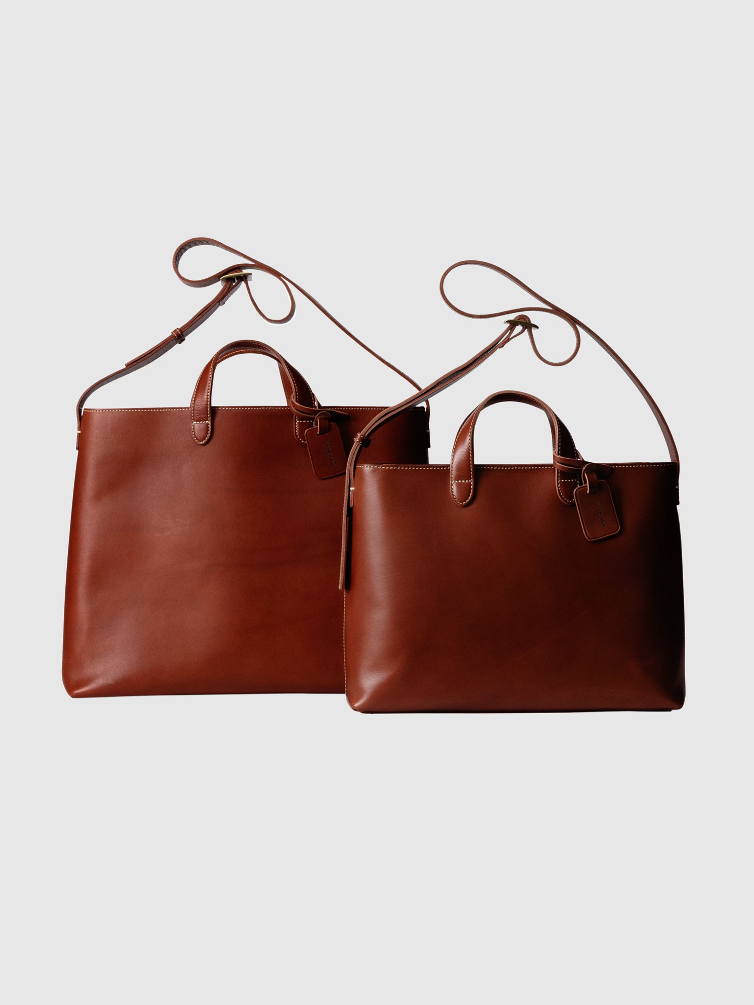 【数量限定色】ディアリオ 2wayトート  Medium