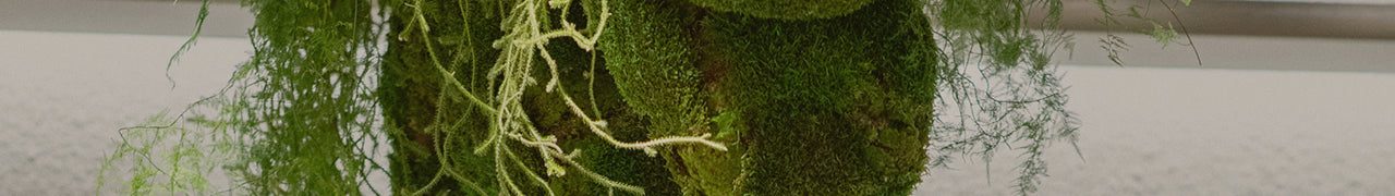 ディスプレイ装飾